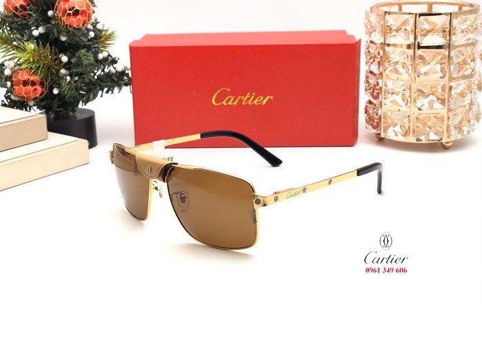 Kính mắt nam cao cấp Cartier CT0165S