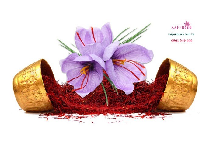 Saffron Bahraman nhụy hoa nghệ tây nhập khẩu