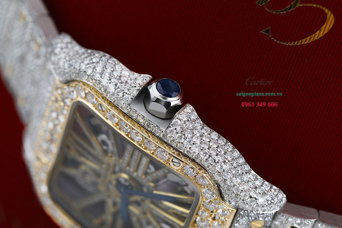 Đồng hồ cao quý hàng hiệu Cartier Santos Skeleton WHSA0019