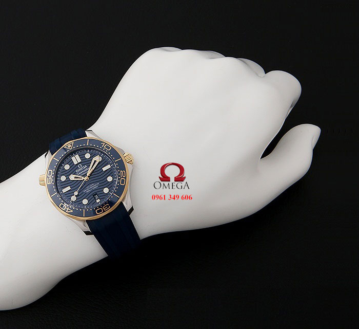 Đồng hồ Omega chính hãng tại TPHCM Omega 210.22.42.20.03.001