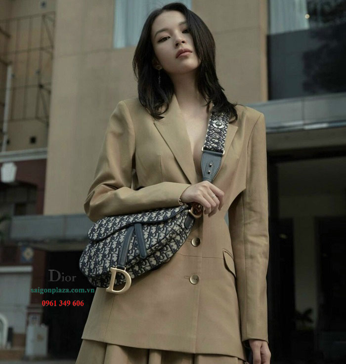 Túi nữ đẹp thời trang hiện đại Dior Saddle Bag