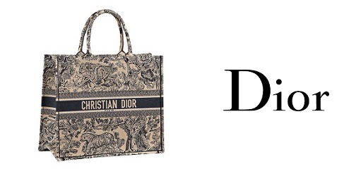 Túi xách nữ Dior